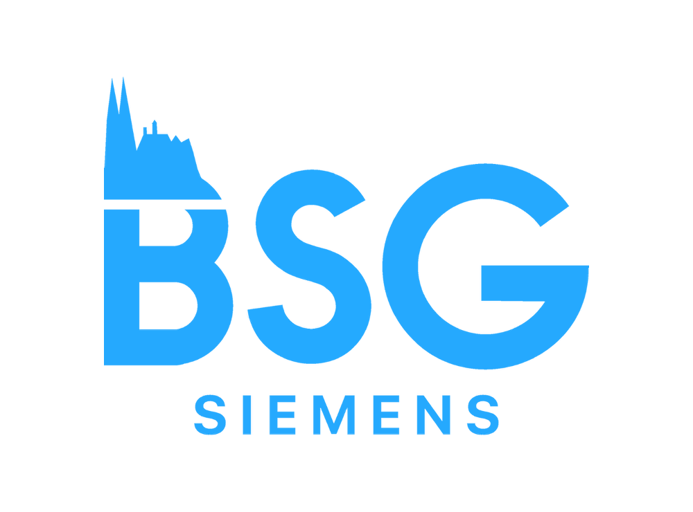 BSG Siemens Osram Infineon